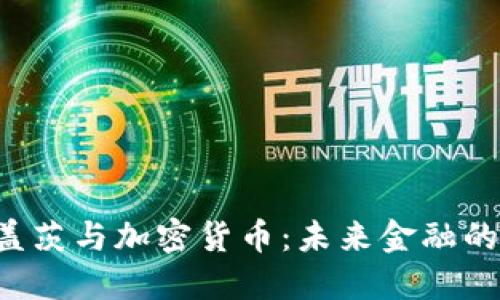 比尔·盖茨与加密货币：未来金融的变革者？